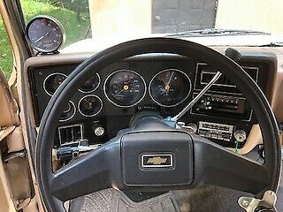 1987 Chevrolet Other Pickups Custom Deluxe - photo 10