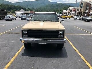1987 Chevrolet Other Pickups Custom Deluxe - photo 3