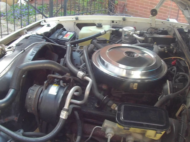 1987 Chevrolet Other Pickups - photo 13