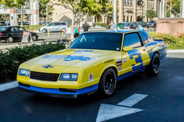 1987 Chevrolet Monte Carlo Dale Earnhardt #3 Tribute