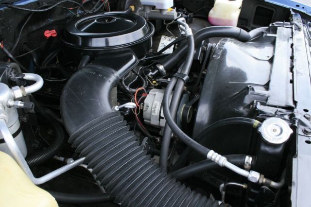 1987 Chevrolet Other Pickups Custom Deluxe - photo 5