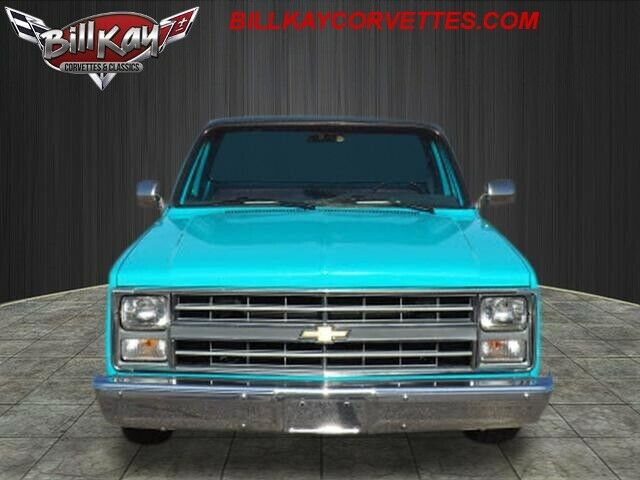 1987 Chevrolet R/V 10 Series R10 - photo 2