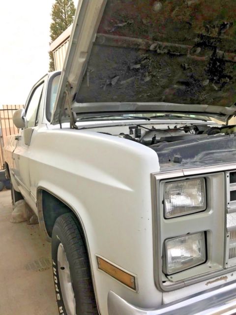 1987 Chevrolet C-10 SILVERADO - photo 13