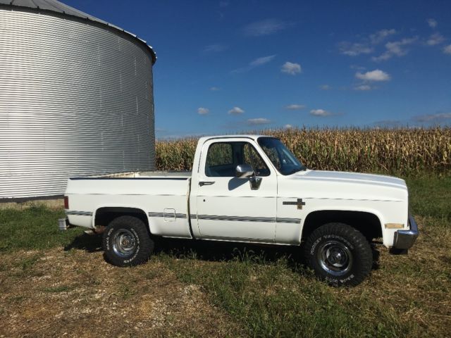 1987 Chevrolet Silverado 1500 Scottsdale - photo 3