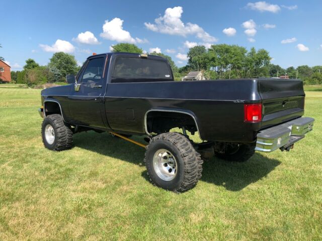 1987 Chevrolet Other Pickups Silverado - photo 7