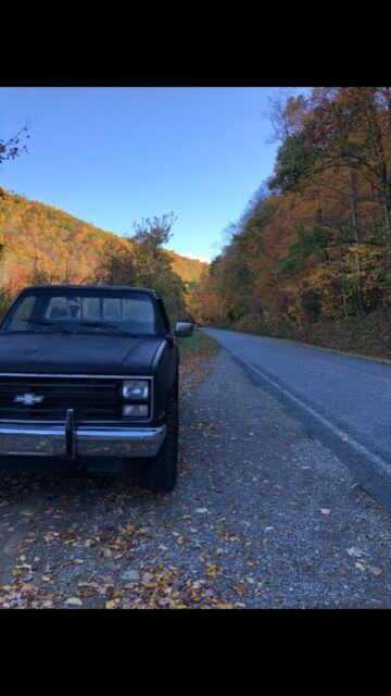 1987 Chevrolet C/K Pickup 1500 Custom Deluxe - photo 8
