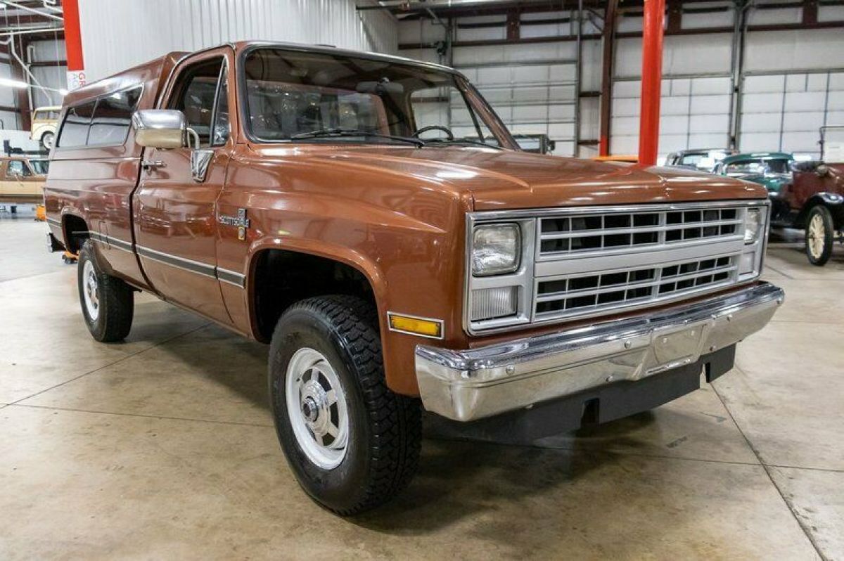 1987 Chevrolet Other Pickups - photo 6
