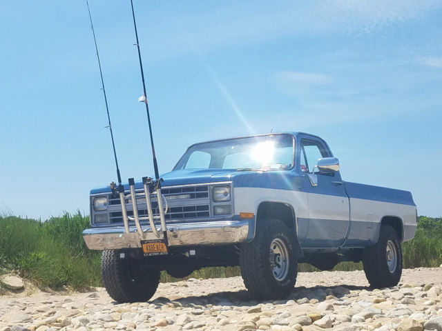 1987 Chevrolet V20 Custom Deluxe Standard Cab Pickup 2-Door 5.7L 1987 Chevrolet Other Pickups