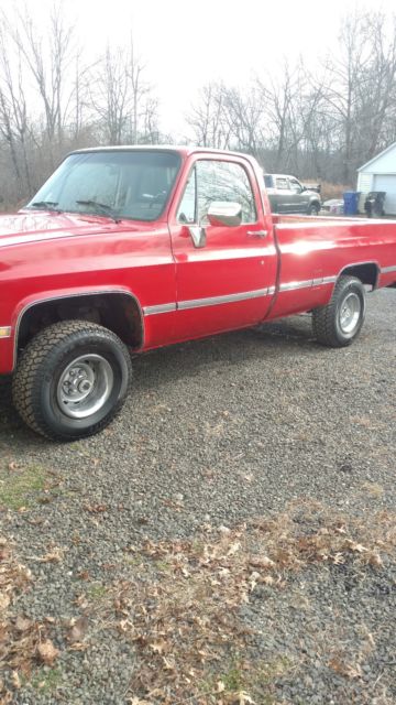 1987 Chevrolet V10 silverdo - photo 2