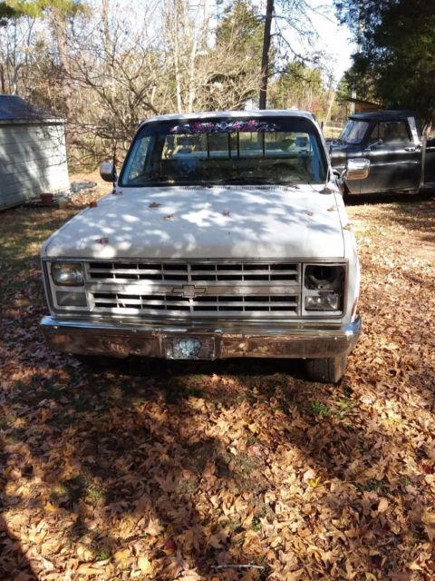 1987 Chevy C10/R30 1987 Chevrolet C-10