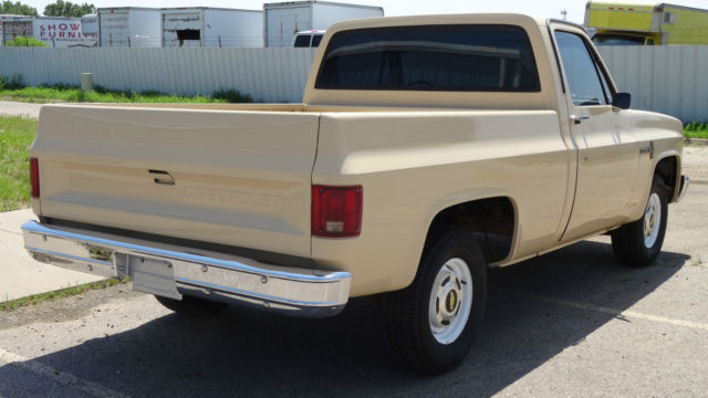 1987 Chevrolet C-10 R10 - photo 10