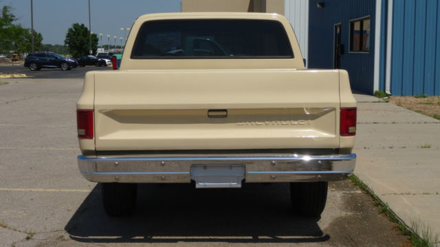 1987 Chevrolet C-10 R10 - photo 8