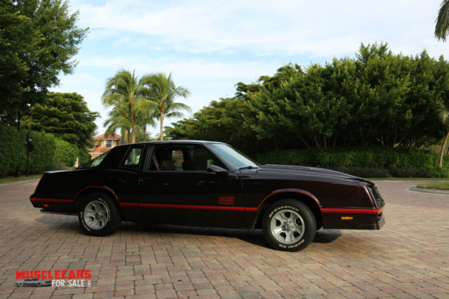 1987 Chevrolet Monte Carlo AERO Coupe SS - photo 13