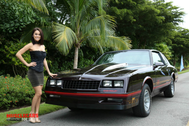 1987 Chevrolet Monte Carlo AERO Coupe SS - photo 3