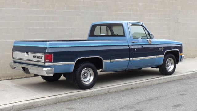 1987 Chevrolet Other Pickups R10 - photo 4