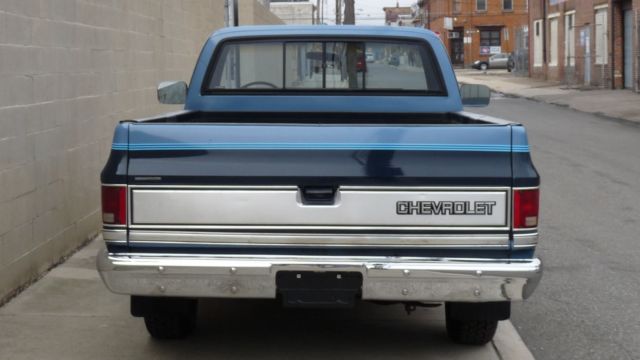 1987 Chevrolet Other Pickups R10 - photo 8