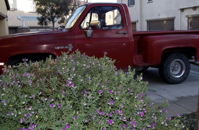 1987 Chevrolet C-10 Stepside pickup bed - photo 4