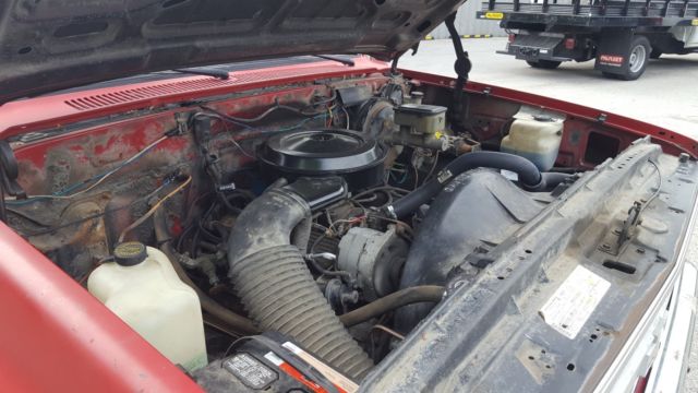 1987 Chevrolet Other Pickups Custom Deluxe - photo 13