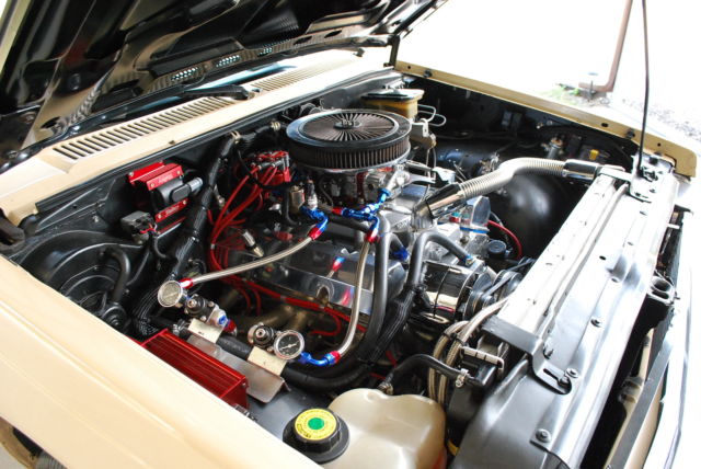 1987 Chevrolet S-10 CUSTOM - photo 12