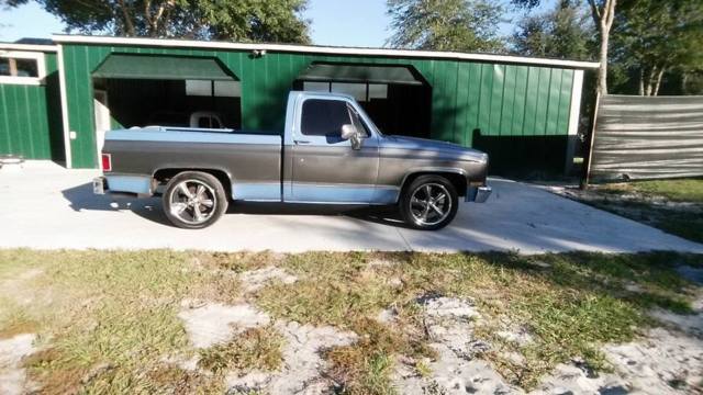 1987 Chevrolet C-10 short bed - photo 4