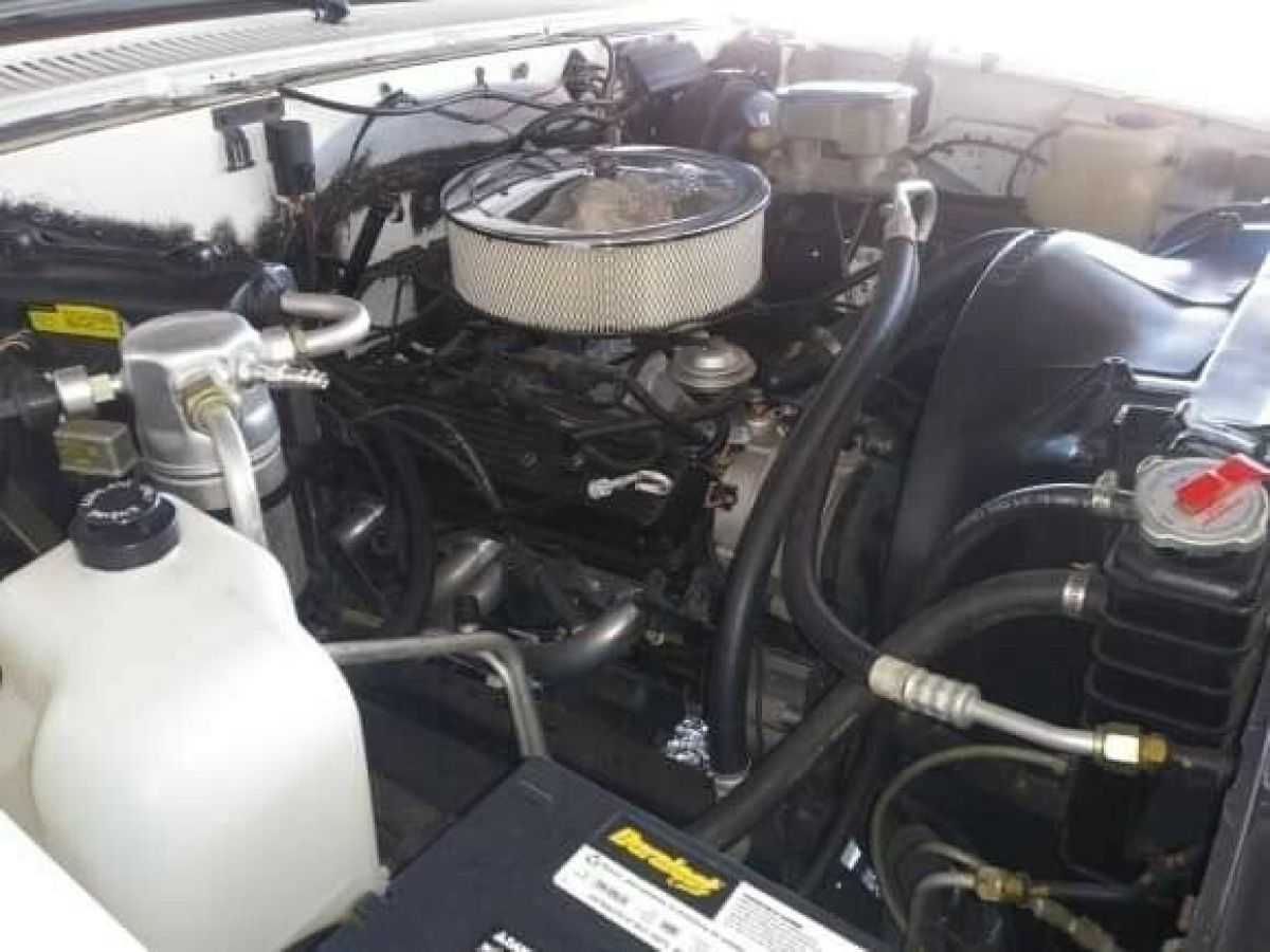 1987 Chevrolet Other Pickups Chrome - photo 13