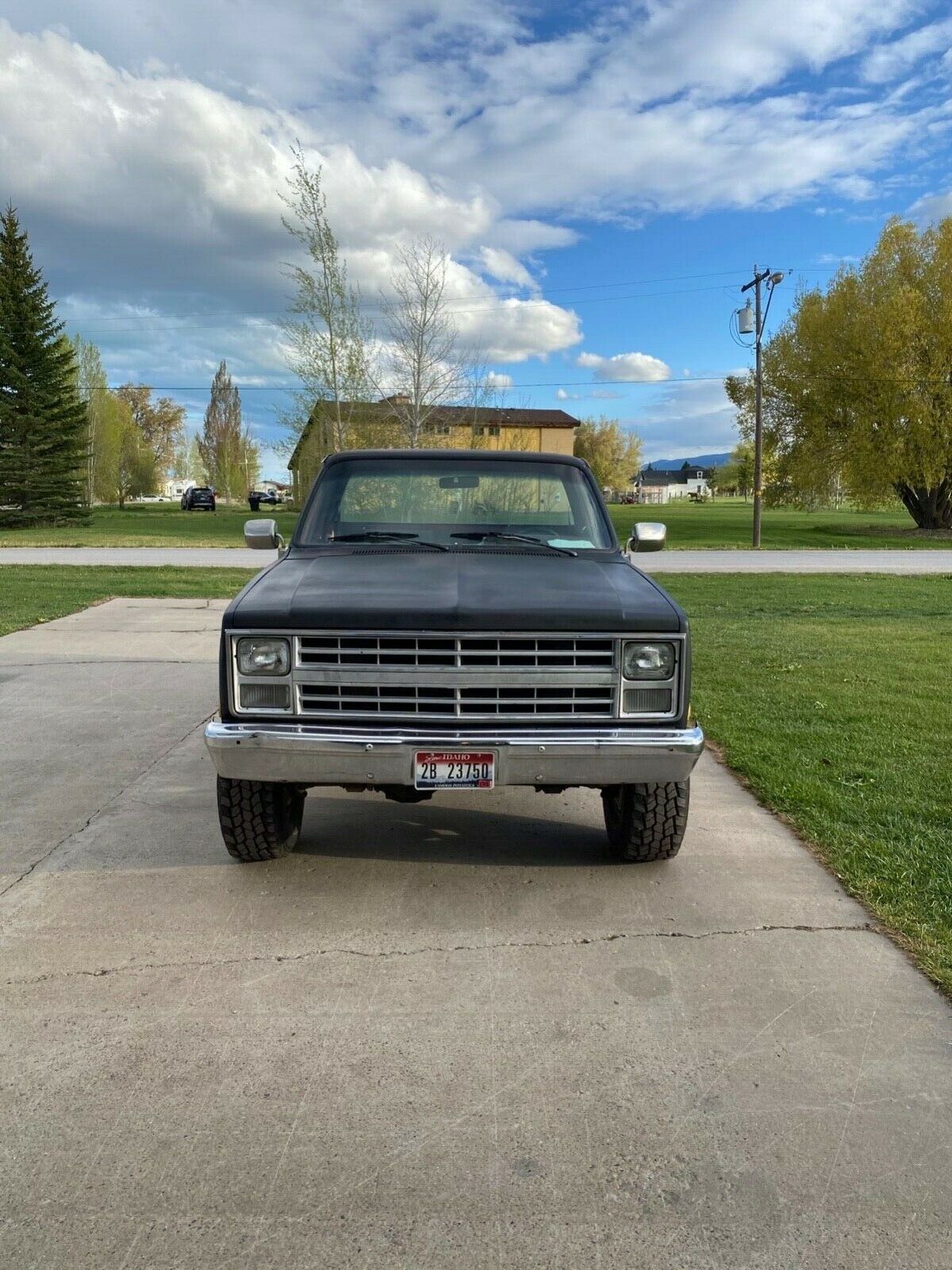 1987 Chevrolet Other Pickups - photo 3