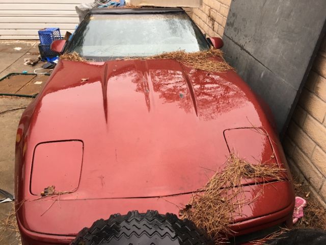 1987 Chevrolet Corvette - photo 3