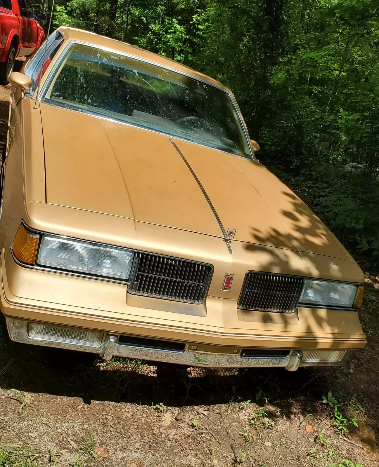1987 Oldsmobile Cutlass - photo 9