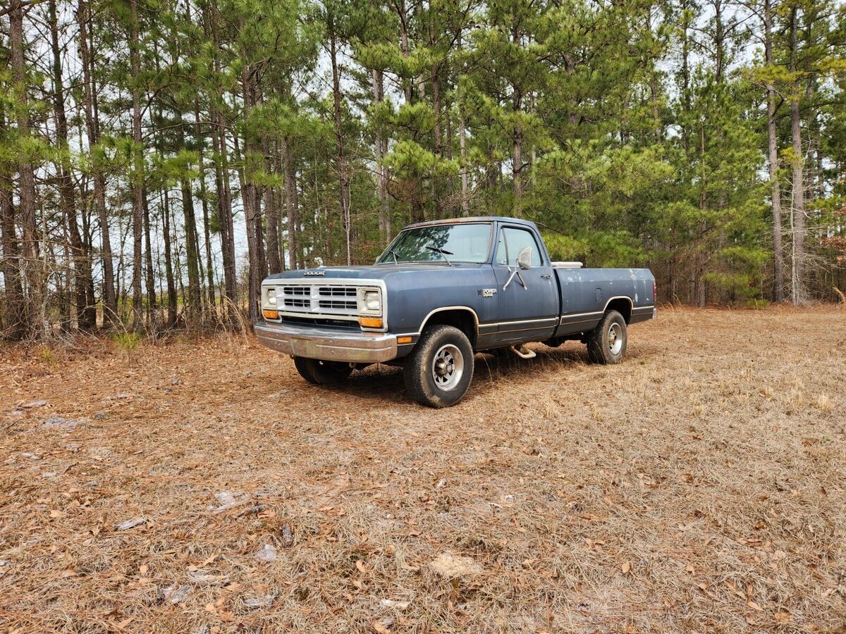 1987 Dodge Other Pickups - photo 9