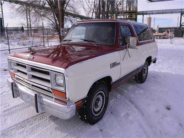 1987 Dodge Other Pickups Custom - photo 10
