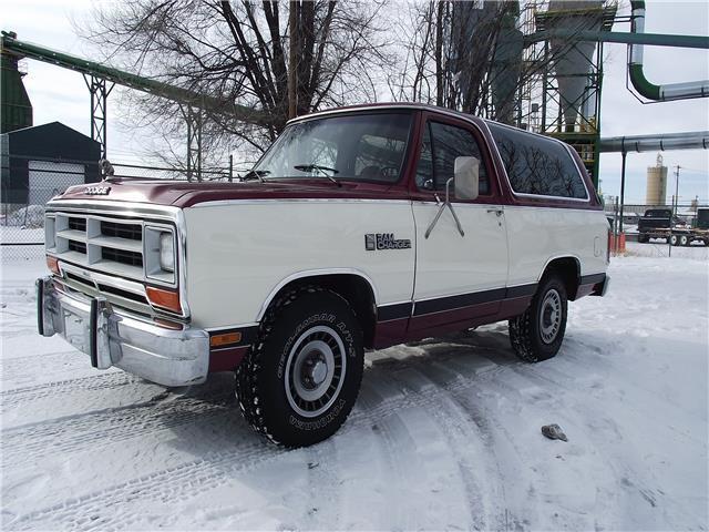 1987 Dodge Other Pickups Custom - photo 11