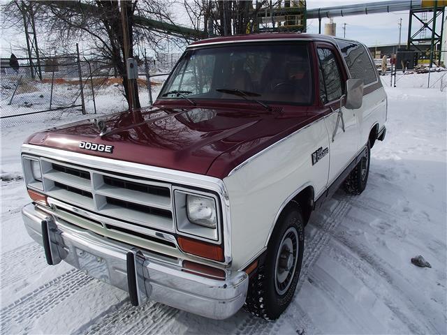 1987 Dodge Other Pickups Custom - photo 3