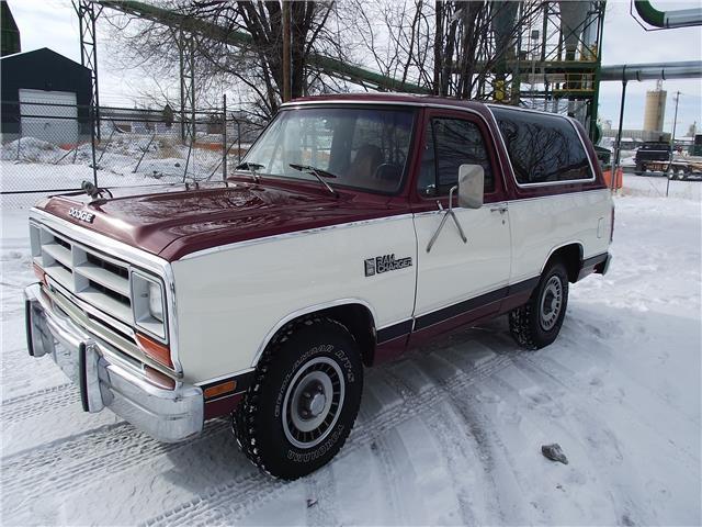 1987 Dodge Other Pickups Custom - photo 9