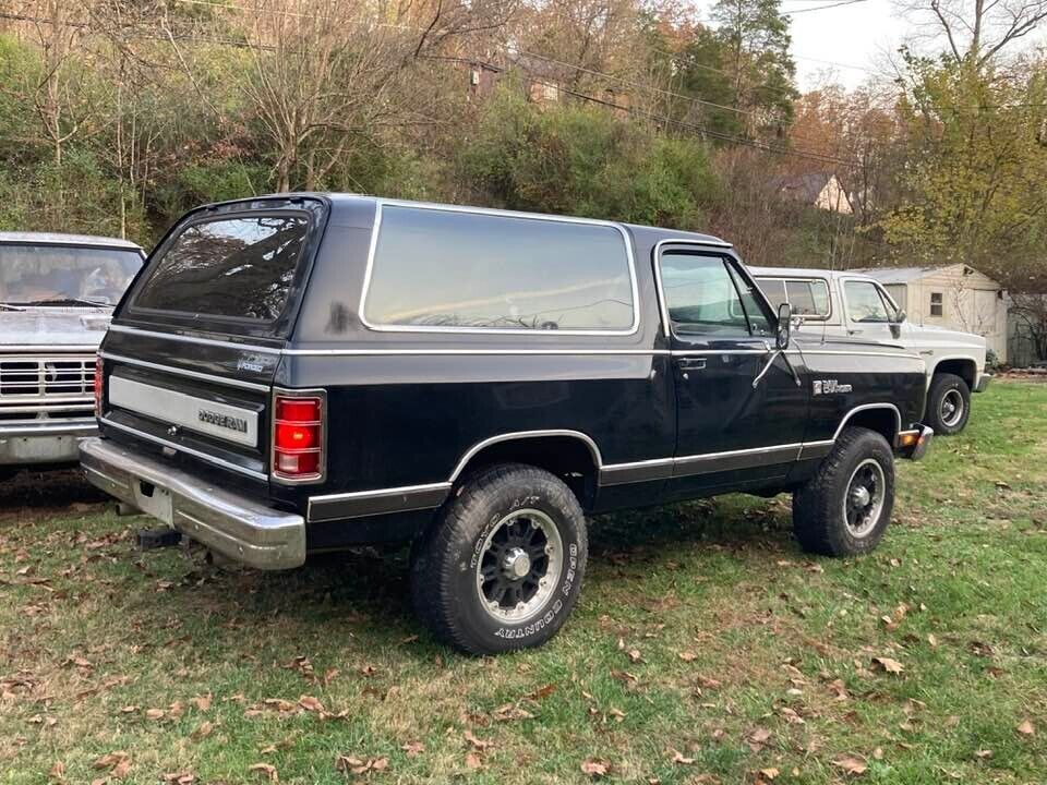 1987 Dodge Ramcharger - photo 3