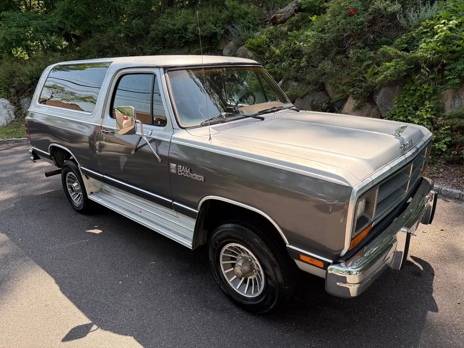 1987 Dodge Ramcharger AW-100 - photo 2