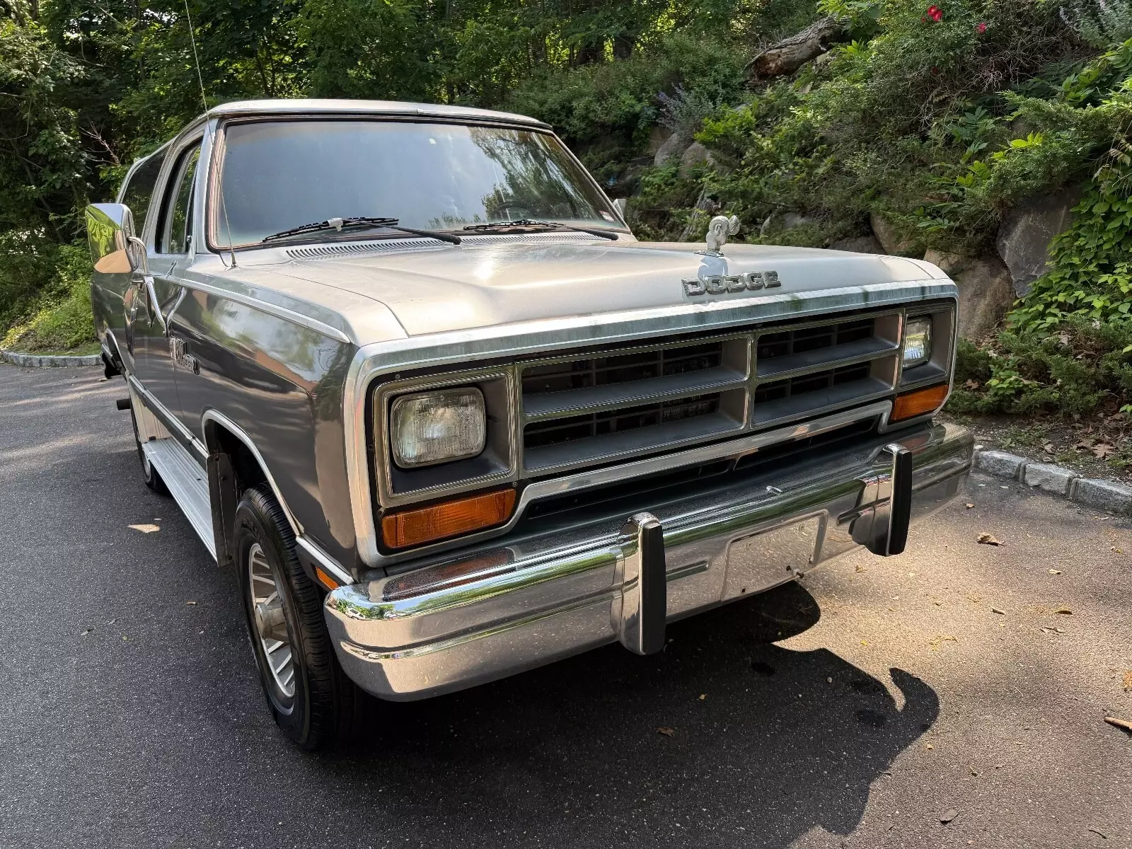 1987 Dodge Ramcharger AW-100 - photo 3