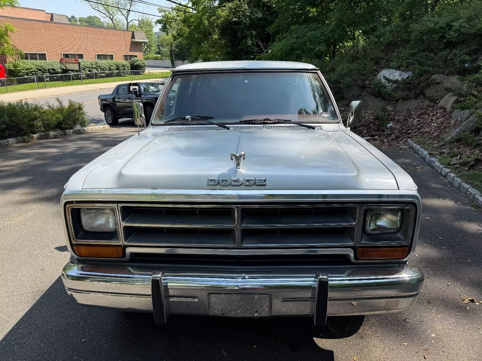 1987 Dodge Ramcharger AW-100 - photo 5