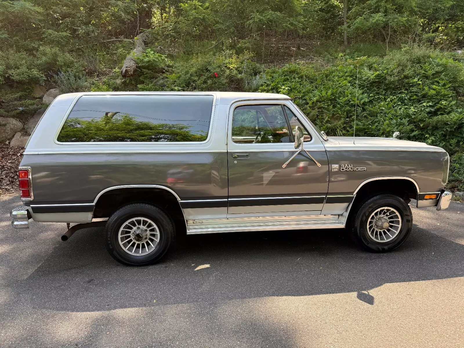 1987 Dodge Ramcharger AW-100 - photo 6