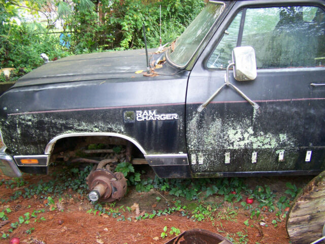 1987 Dodge Ramcharger - photo 2