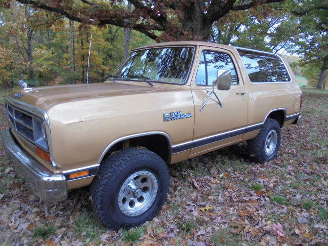 1987 Dodge Ramcharger - photo 2