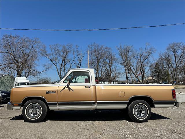 1987 Dodge Trucks - photo 2