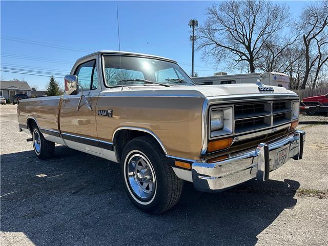 1987 Dodge Trucks - photo 4