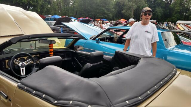 1987 Pontiac Firebird - photo 12