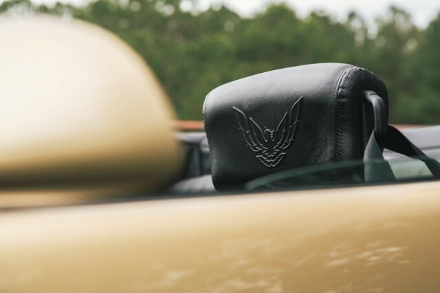 1987 Pontiac Firebird - photo 3