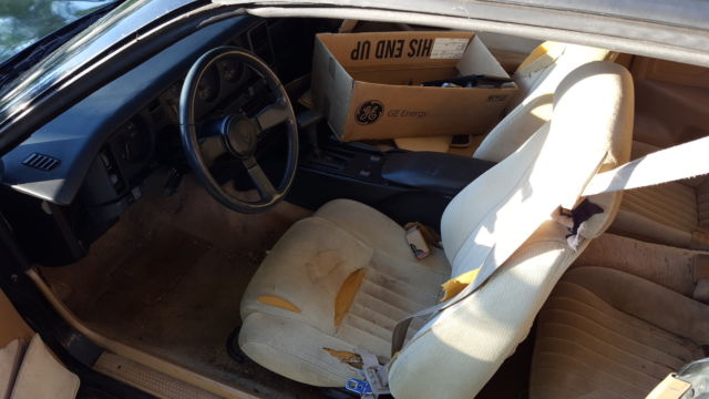 1987 Pontiac Firebird Trans Am - photo 4