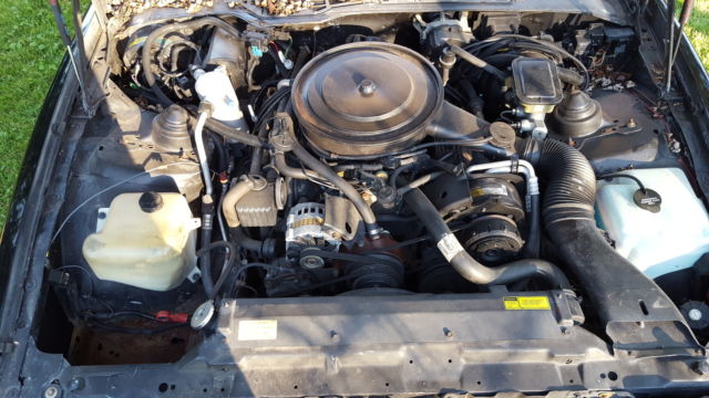 1987 Pontiac Firebird Trans Am - photo 7