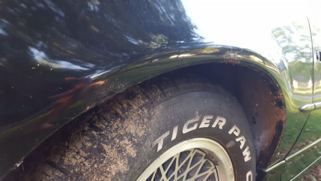 1987 Pontiac Firebird Trans Am - photo 9