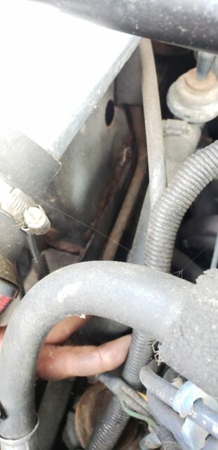 1987 Ford Mustang RUNNING DRIVING 302 5 SPEED T-5 4.11 A/C NOTCH - photo 11