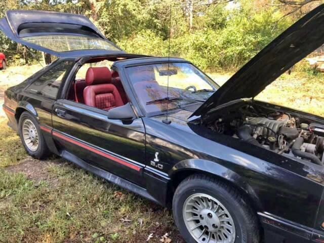 1987 Ford Mustang 5.0 GT 5 spd black original t-top ttop foxbody pa 87-93 nr 1987 Ford Mustang GT