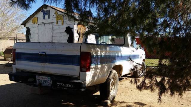 1987 Ford Ranger S Standard Cab Pickup 2-Door - photo 5